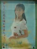 キラリ白い歯